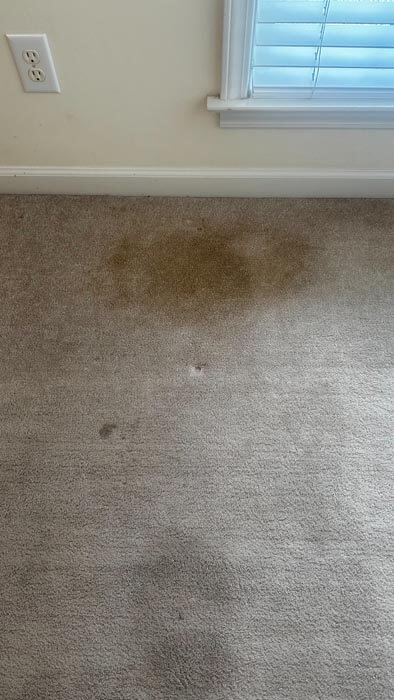 background picture of a clean room