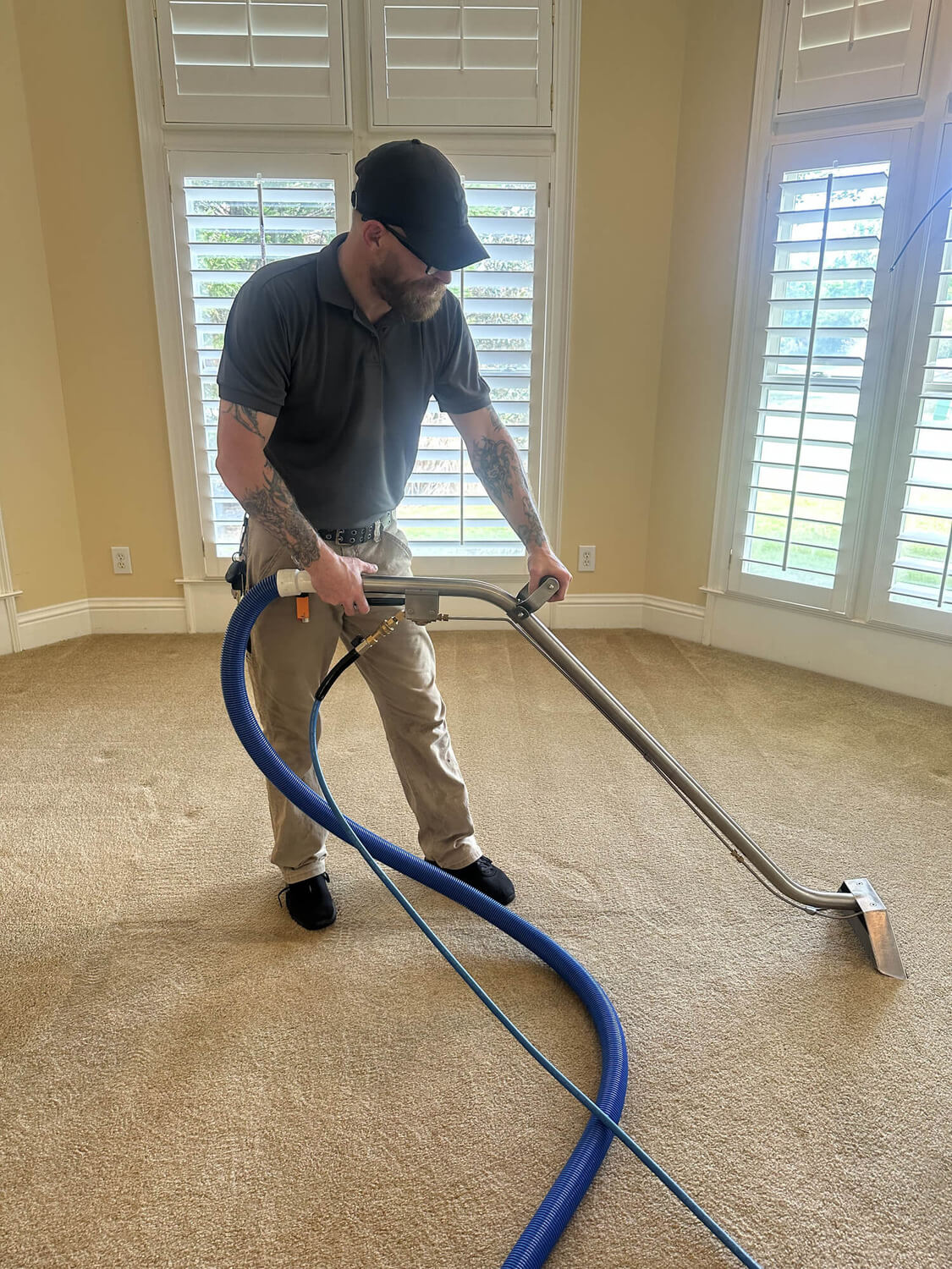 picture of clean carpet