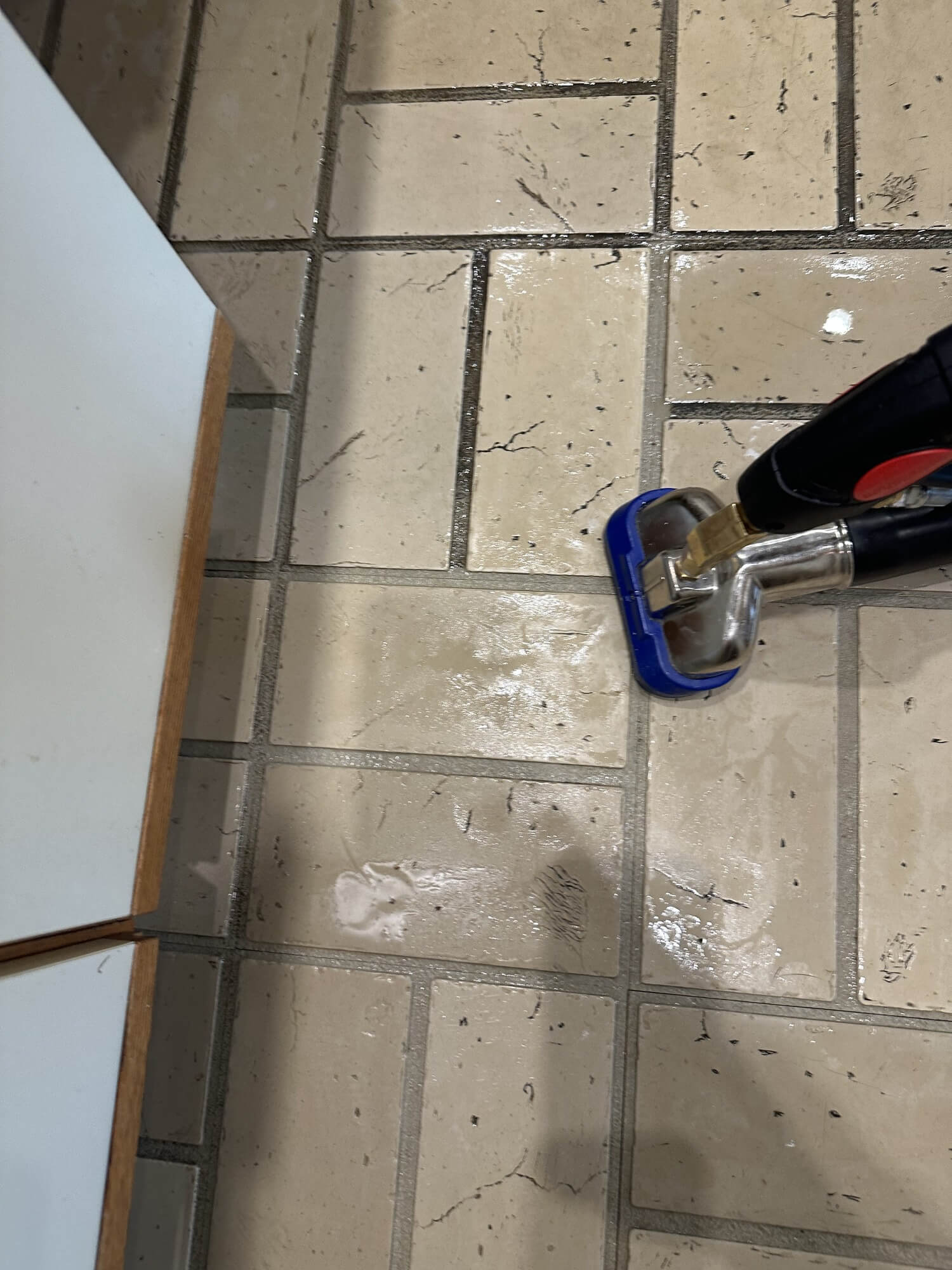 picture of clean carpet