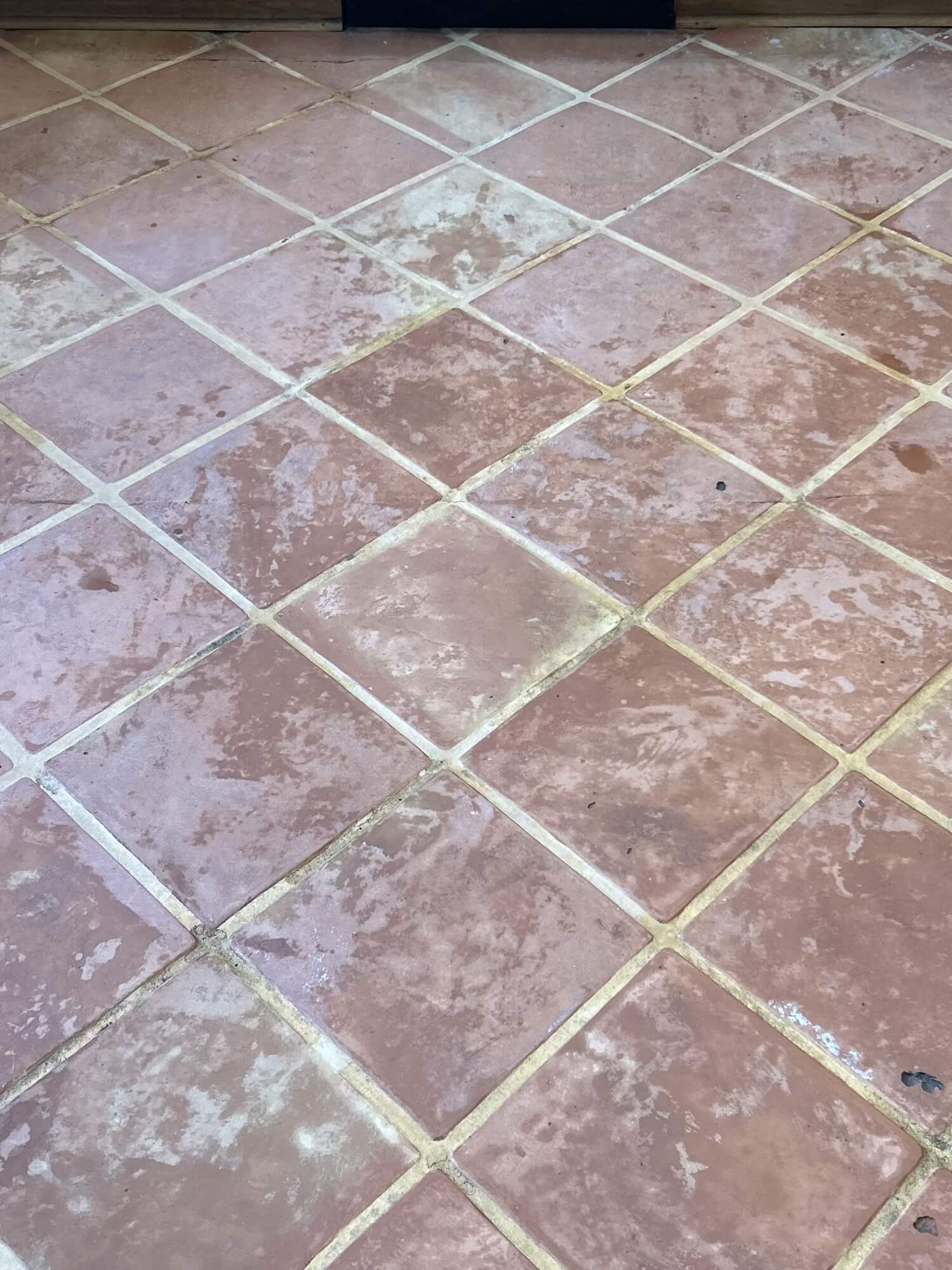 picture of clean carpet