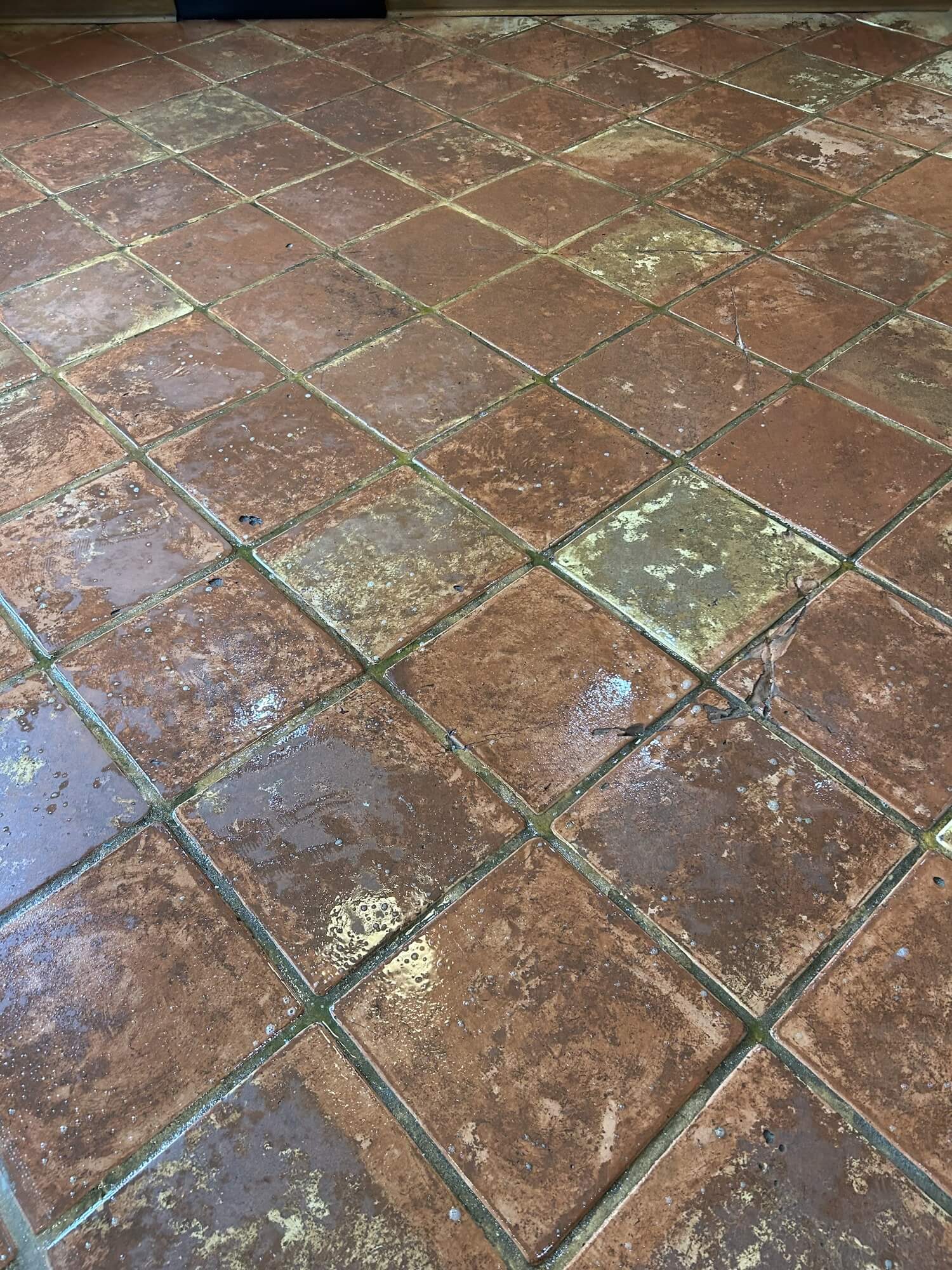 picture of clean carpet